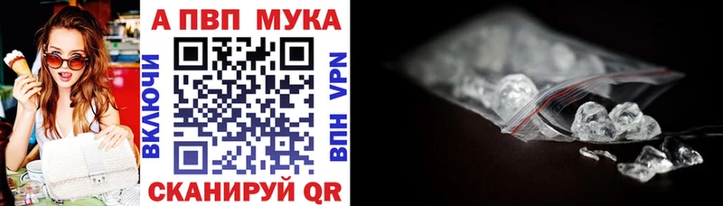 Купить закладки  Шлиссельбург  Alpha PVP СК 